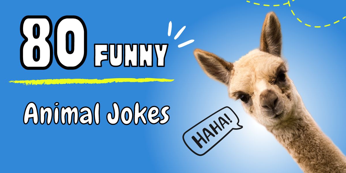 Funny Animal Jokes